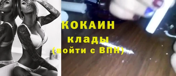 спайс Богданович