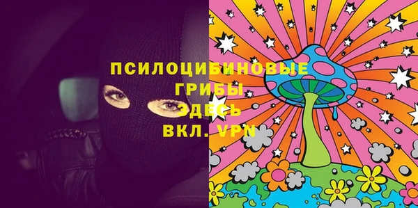 спайс Богданович