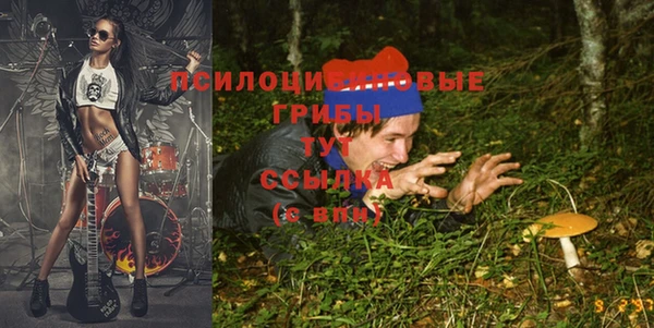 спайс Богданович