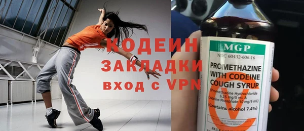 шишки Белоозёрский